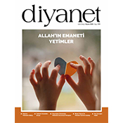 Seçenek numarası görseli 1